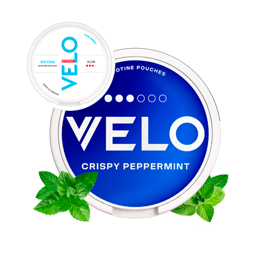 VELO CRISPY PEPPERMINT